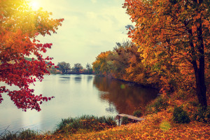 Rural landscape at sunset. Lake in autumn